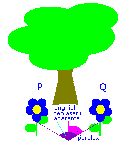 diagram cu o floare i un copac artnd unghiul deplasrii aparente si unghiul de paralaxa