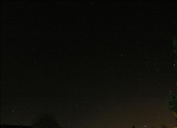 Gemeni,Orion,Procyon,Sirius vazute din Romnia-podiul Transilvaniei,noiembrie 7513